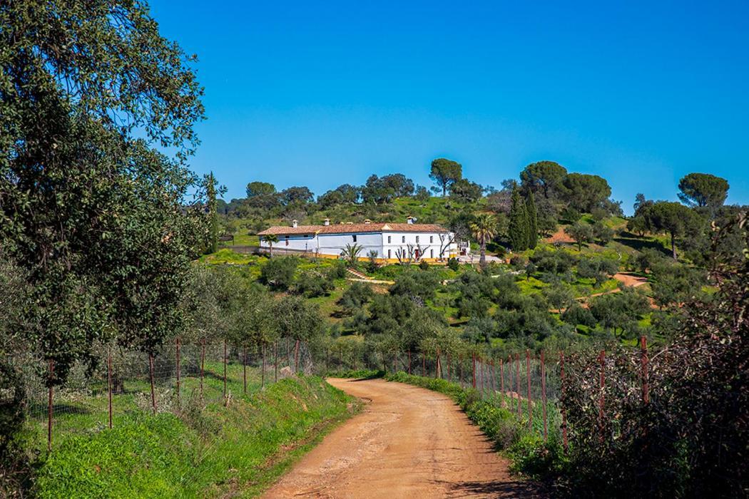 Isla Virgen * Villaviciosa de Cordoba