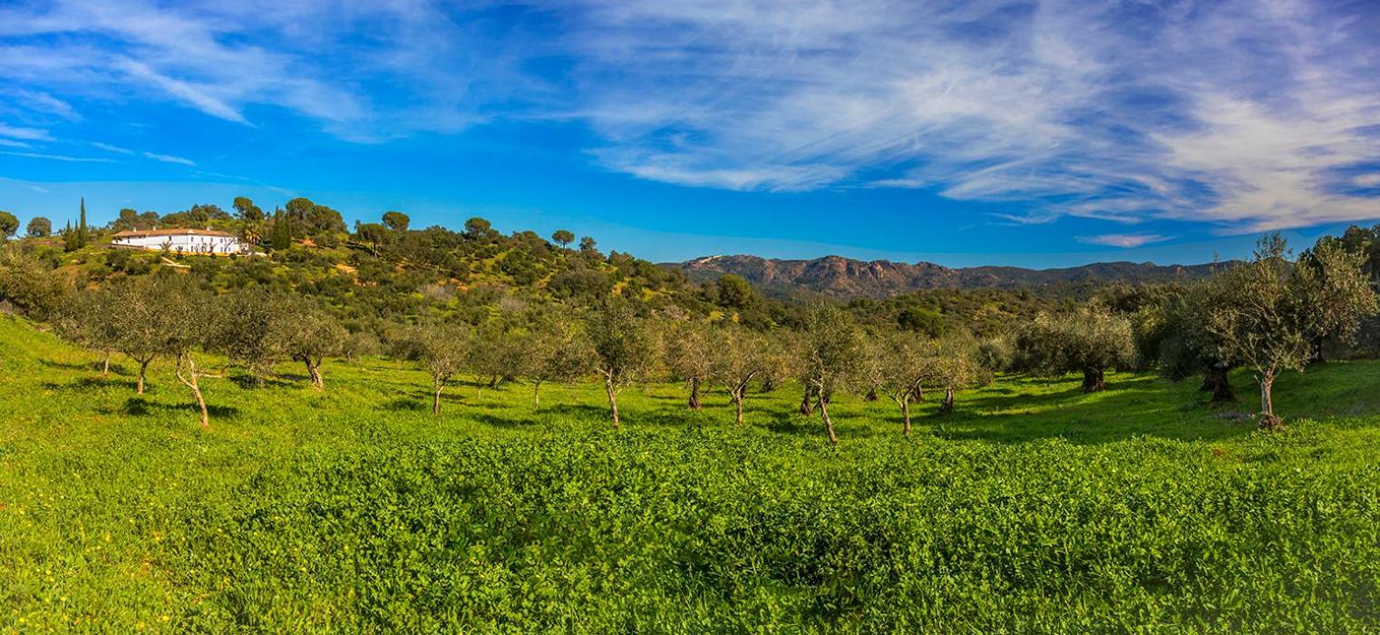 Isla Virgen * Villaviciosa de Cordoba